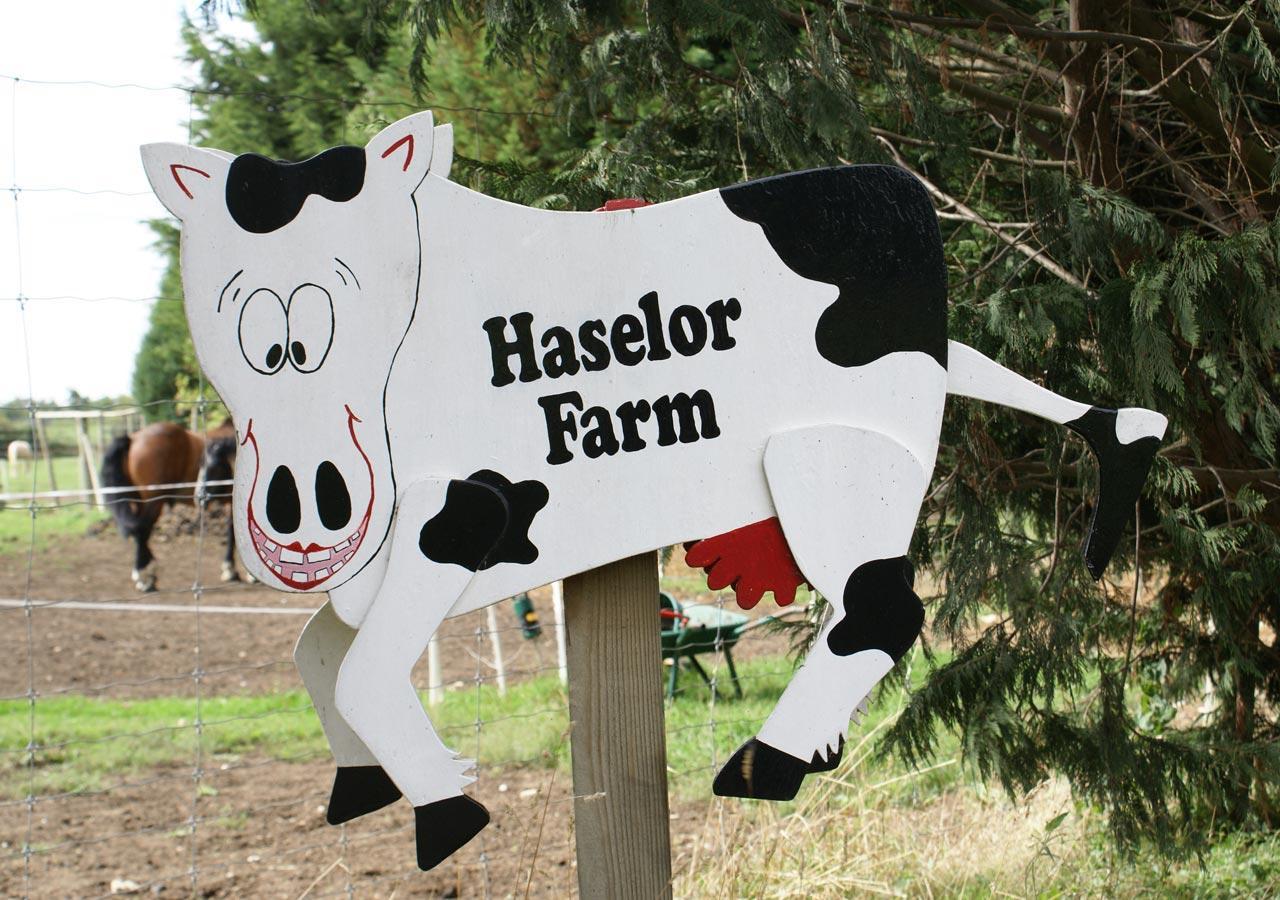 Bed & Breakfast Haselor Farm